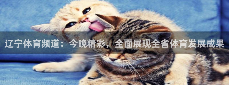 178直播吧体育：辽宁体育频道：今晚精彩，全面展现全省体育发展成果