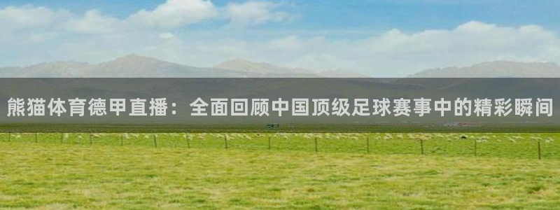 178直播体育免费观看：熊猫体育德甲直播：全面回顾中国顶级足球赛事中的精彩瞬间