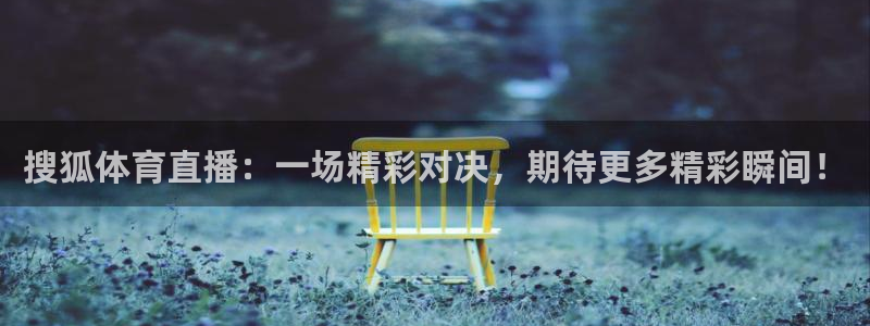 178直播体育赛事免费直播：搜狐体育直播：一场精彩对决，期待更多精彩瞬间！