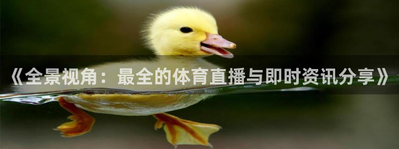 178直播吧体育：《全景视角：最全的体育直播与即时资讯分享》