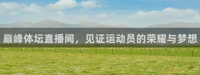 178直播体育官网入口：巅峰体坛直播间，见证运动员的荣耀与梦想