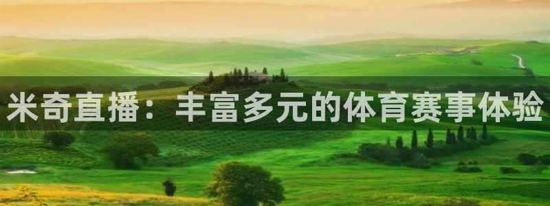 178直播怎么免费看：米奇直播：丰富多元的体育赛事体验