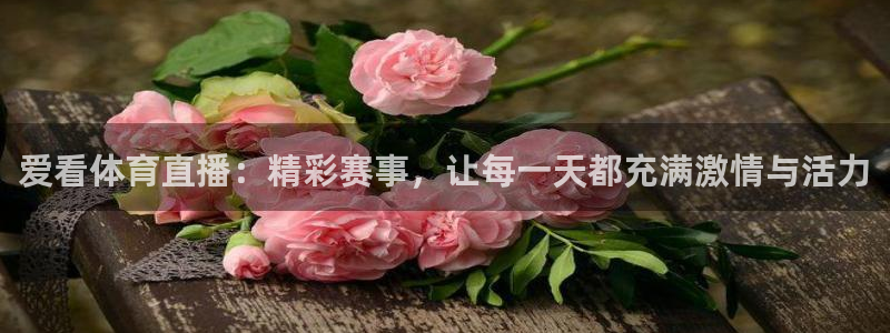 178直播在线观看：爱看体育直播：精彩赛事，让每一天都充满激情与活力
