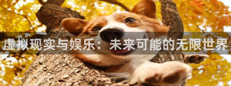 长征娱乐官网：虚拟现实与娱乐：未来可能的无限世界